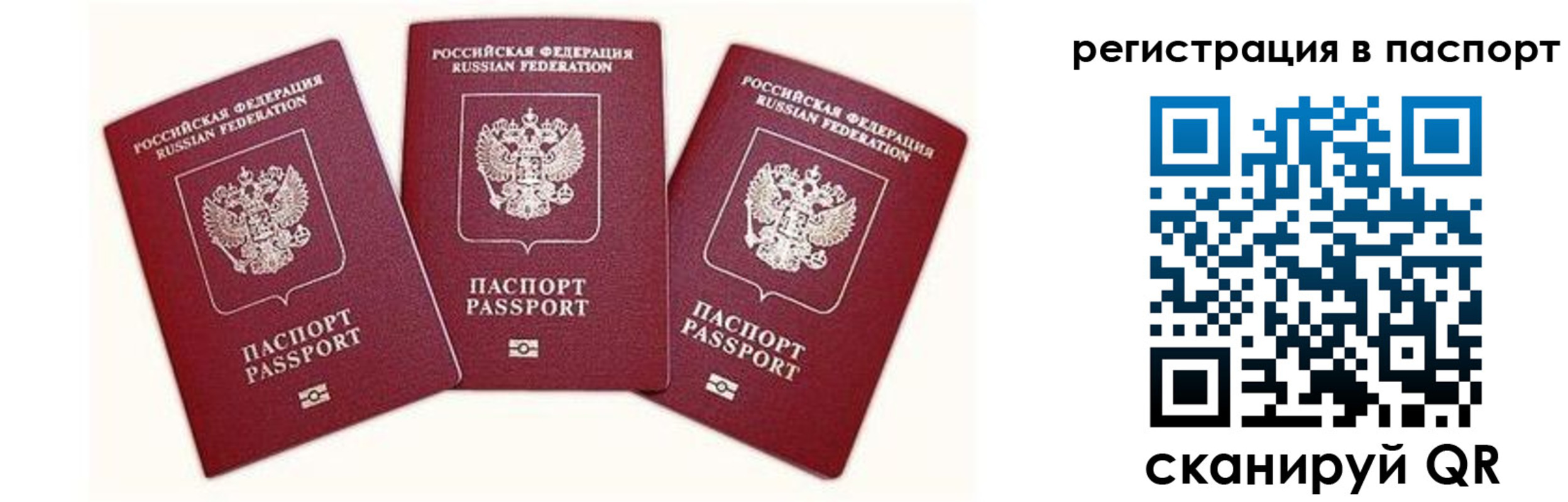 прописка законно в Ногинске